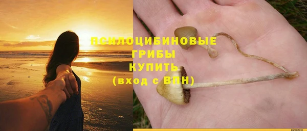а пвп мука Алзамай